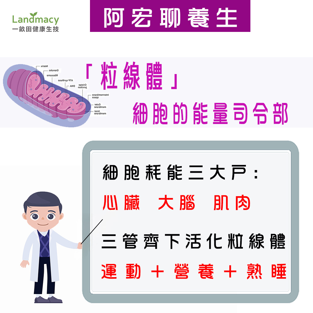 User generated content in real-time